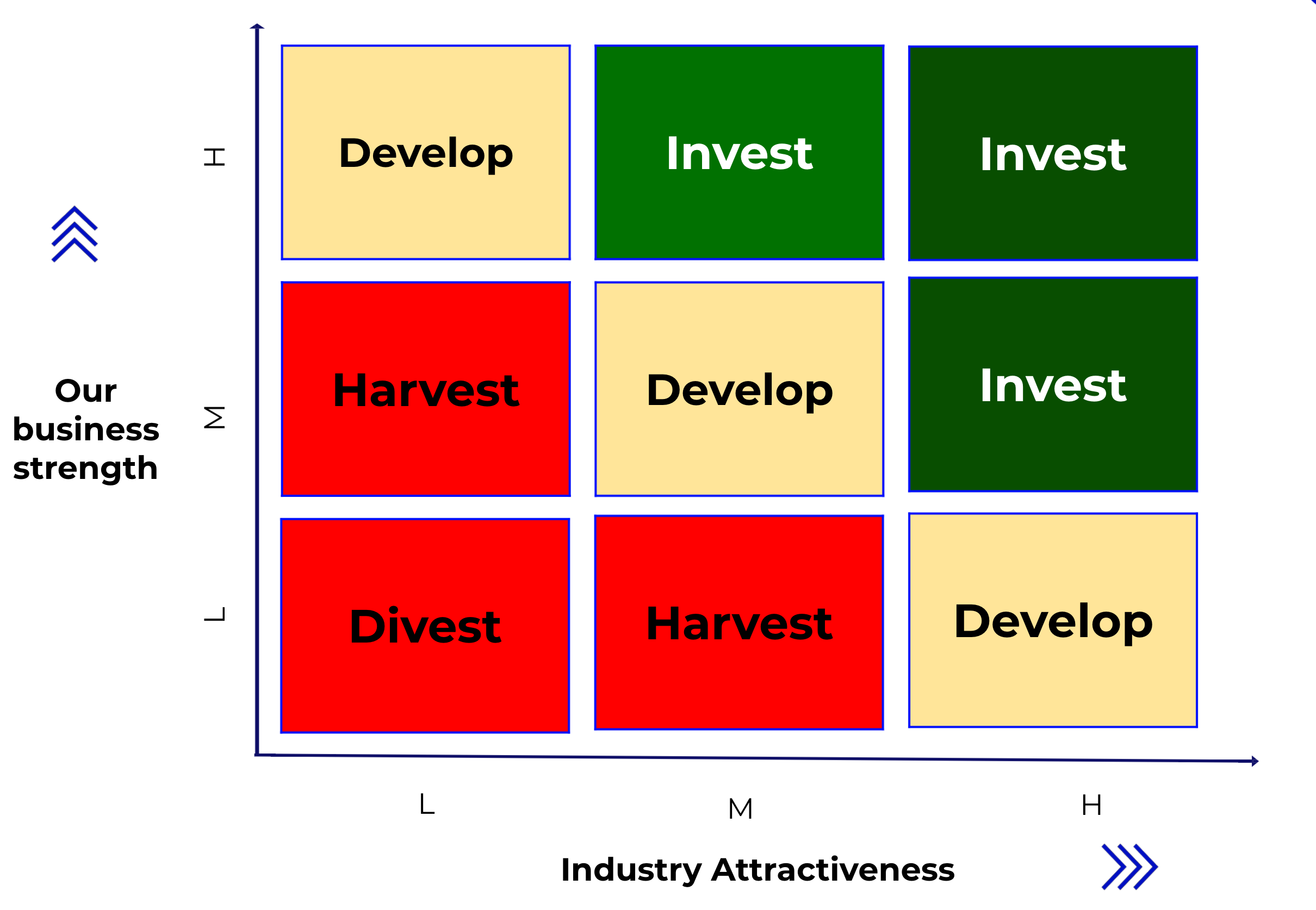 McKinsey Policy Matrix